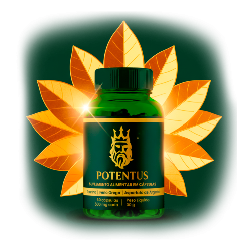 meio-produto-1-re7z1c04yqh7l1xwe7rw6t2jgqafivvbnmirqukqdk